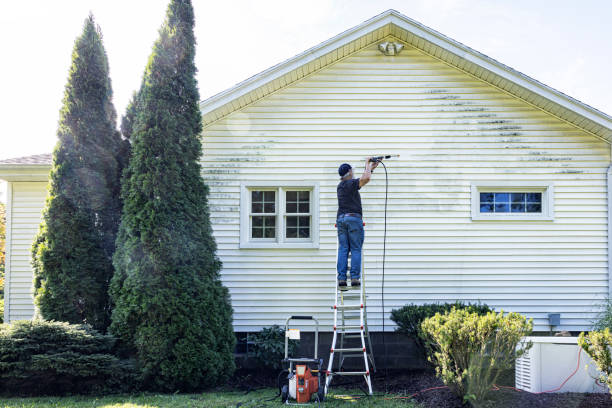 Best House Pressure Washing  in Wellston, OH